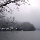 Mystische Stimmung am Königssee