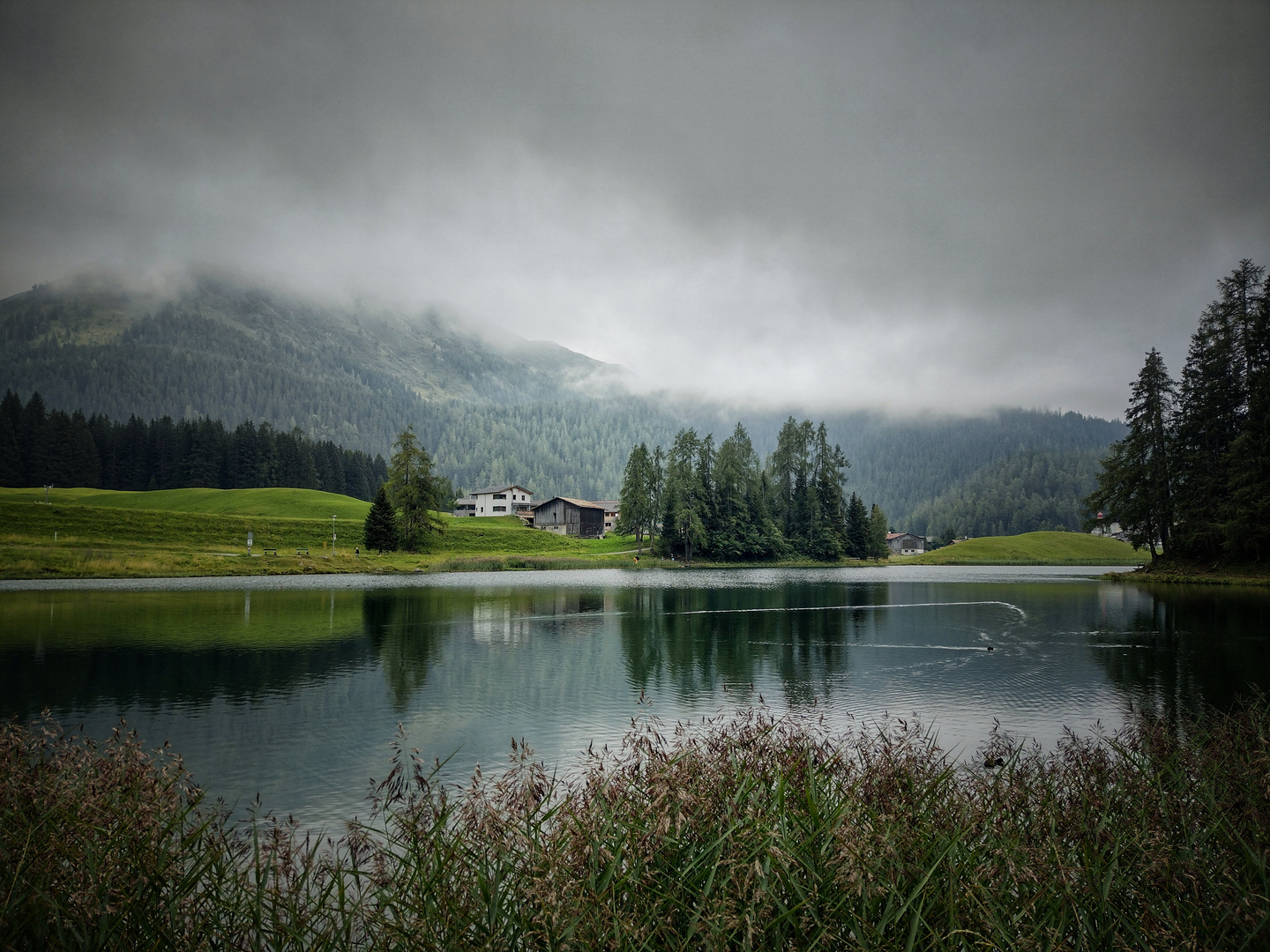 mystische Stimmung am Schwarzsee