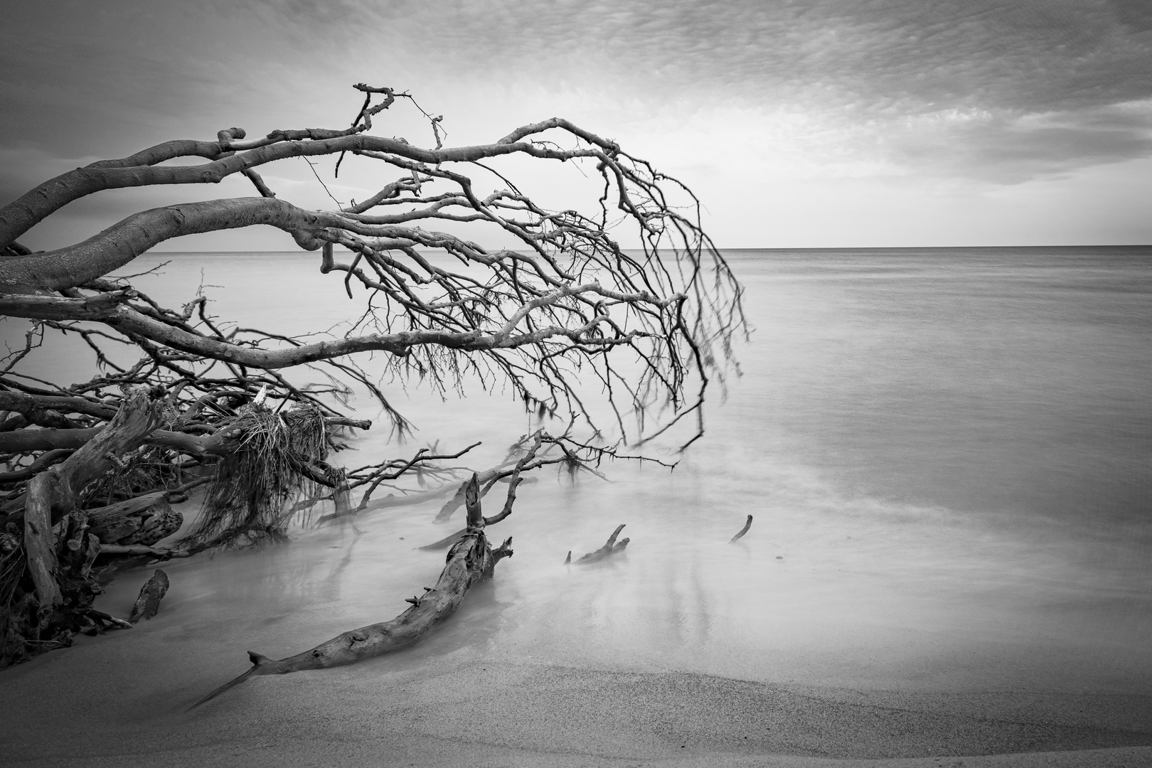 Mystische Stimmung am Strand