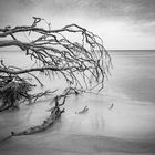 Mystische Stimmung am Strand