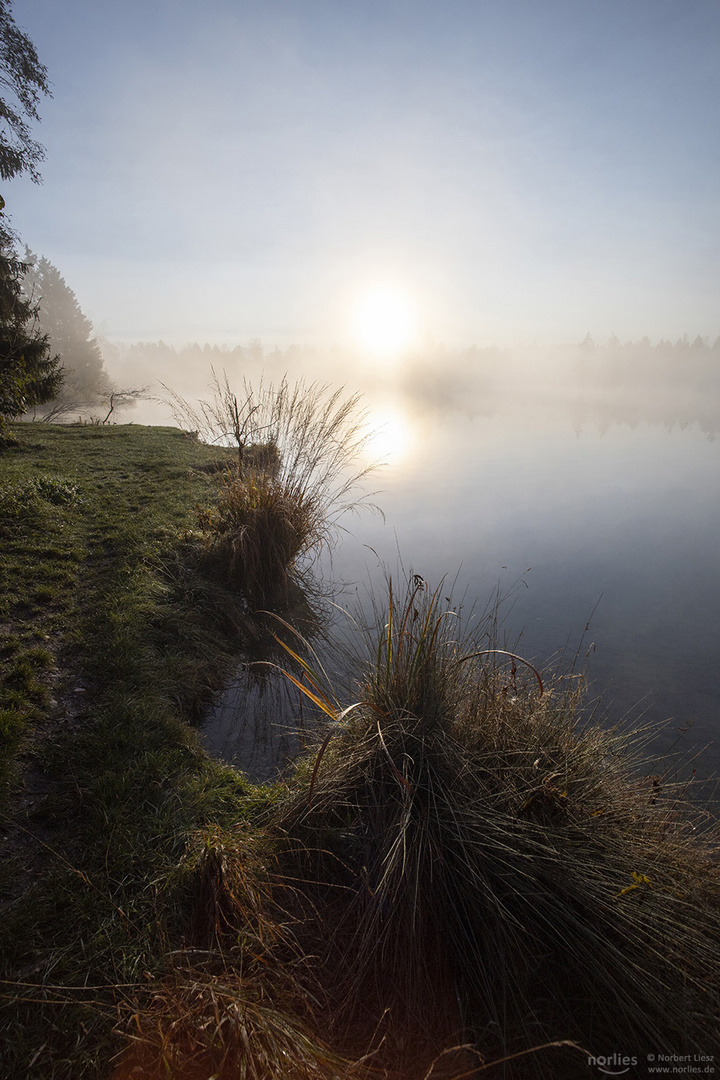 Mystische Stimmung am Ufer