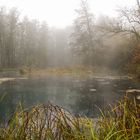 Mystische Stimmung an Halloween 