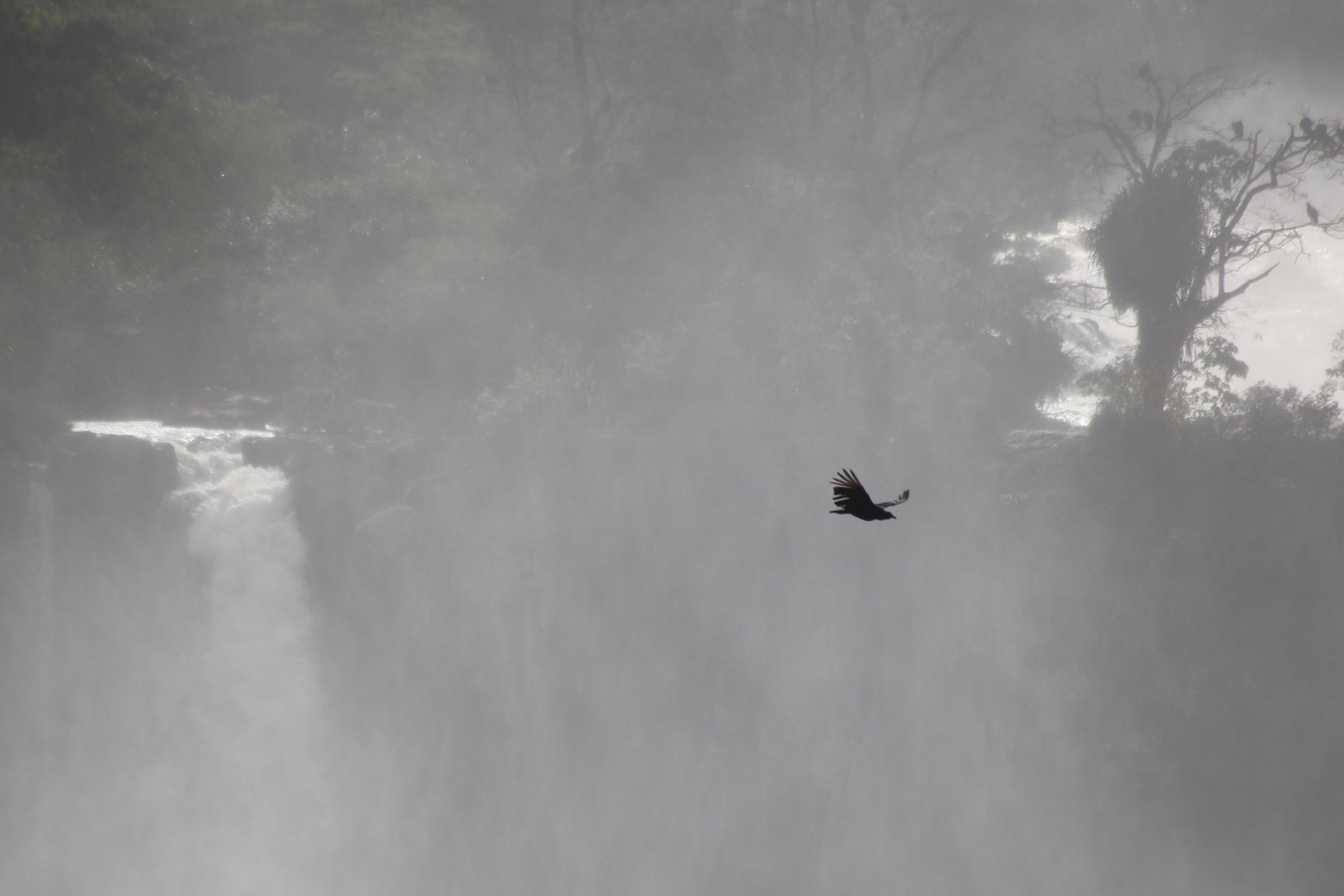 Mystische Stimmung bei Iguazu