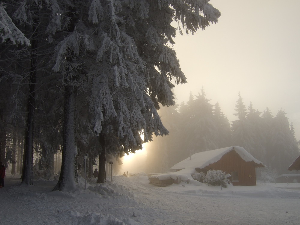 Mystische Stimmung im ersten Schnee