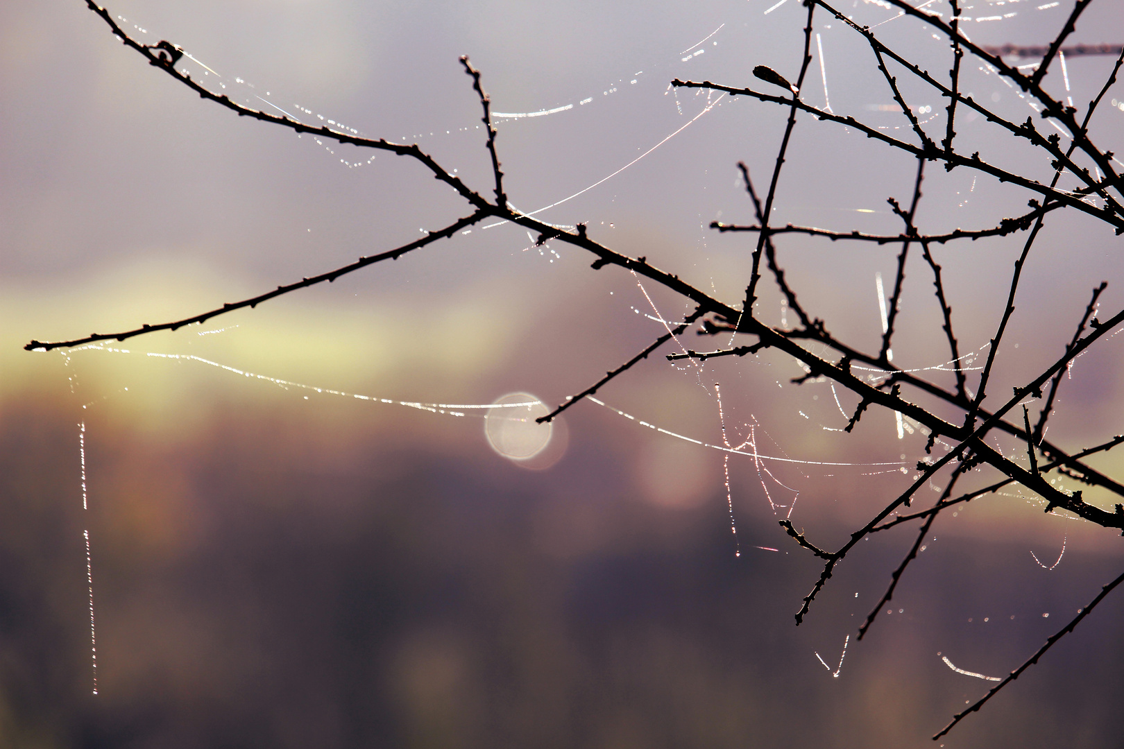 Mystische Stimmung im Herbst