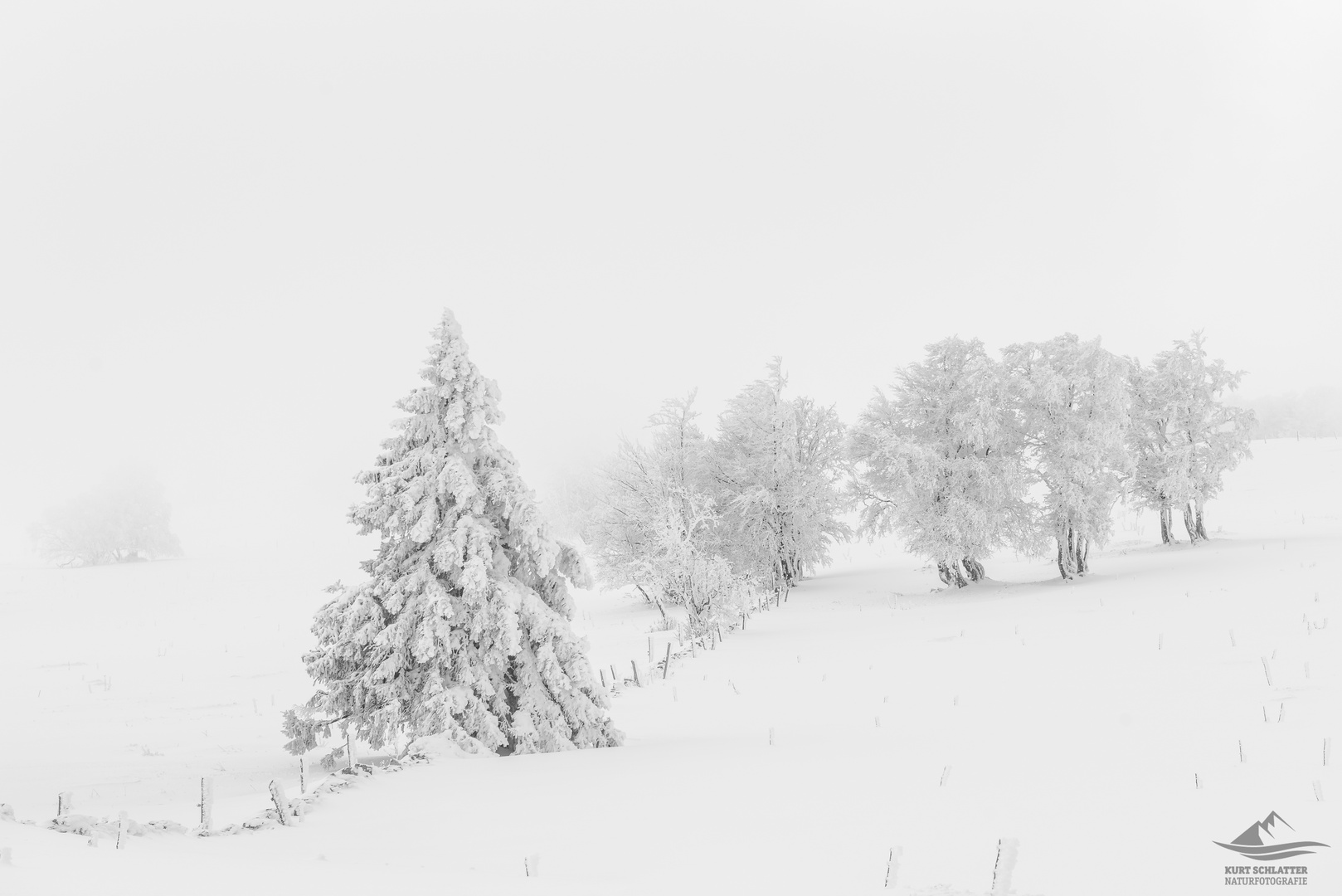 Mystische Stimmung im Jura