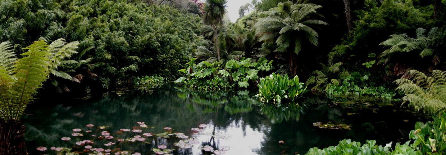 Mystische Tiefe - Lost Gardens of Heligan 