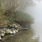 Mystischer Blick am Ufer vom Kleinen Plöner See