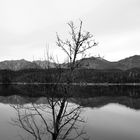 Mystischer Eibsee