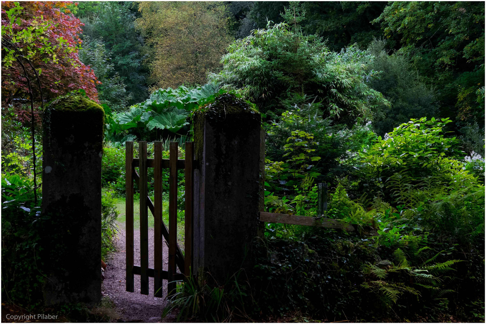 Mystischer Garten Foto Bild Europe France Bretagne Bilder