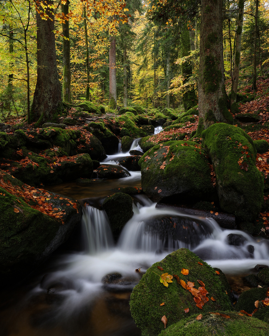 Mystischer Gertelbach