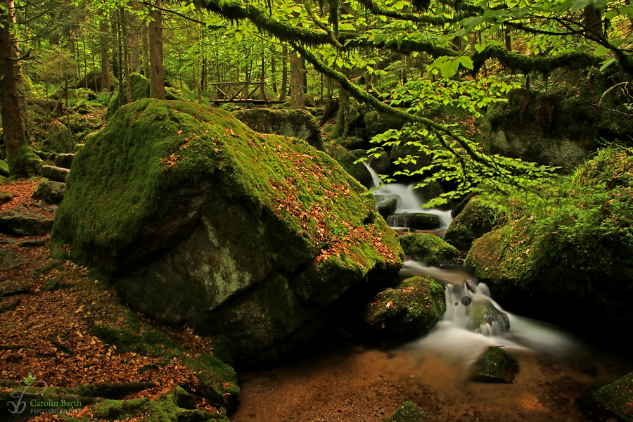 Mystischer Gertelbach