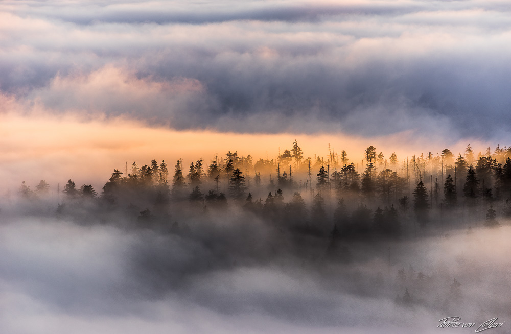 Mystischer Harz