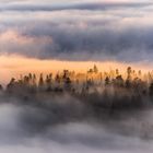 Mystischer Harz