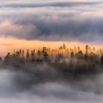 Mystischer Harz