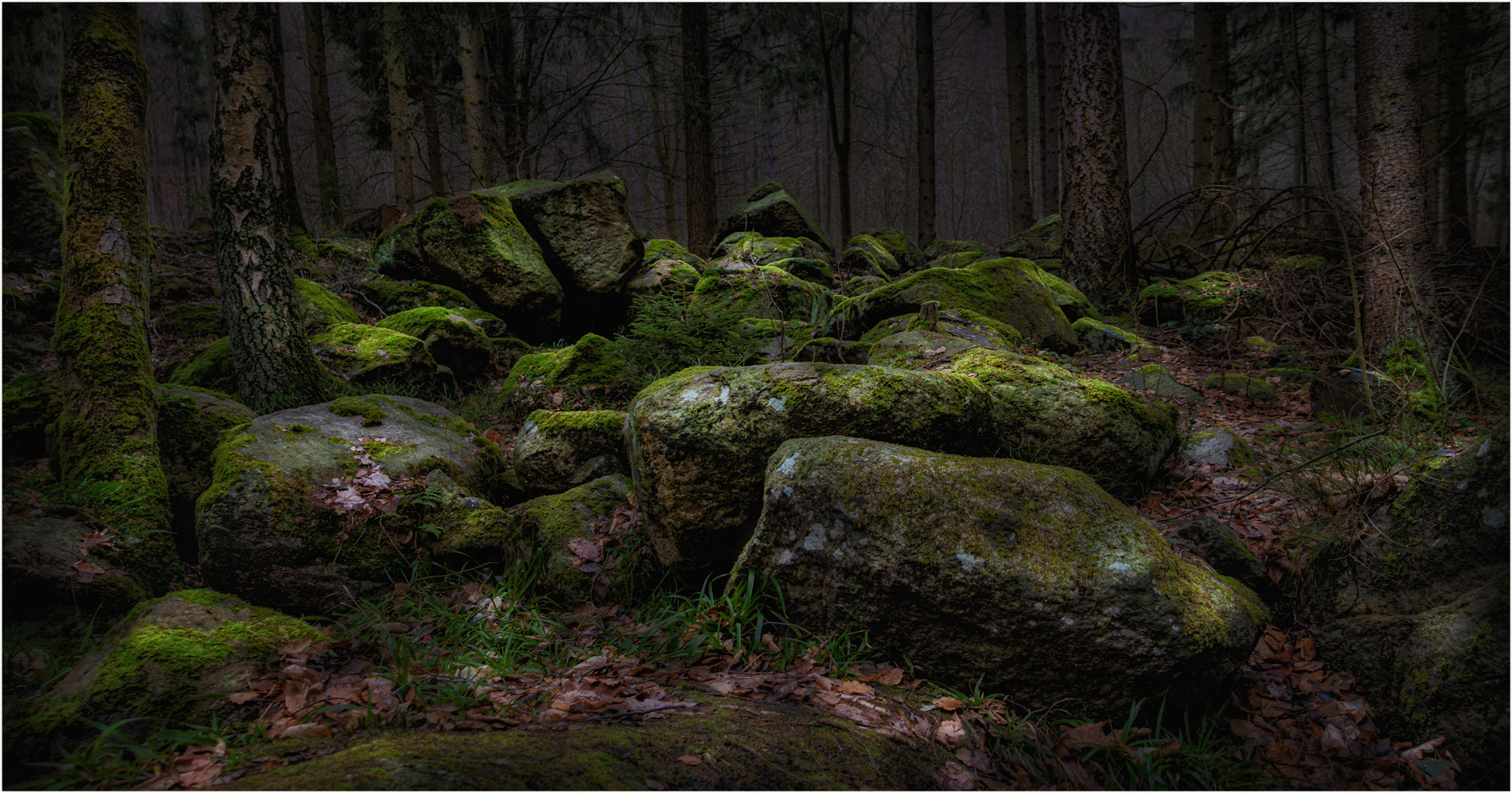 Mystischer Harz