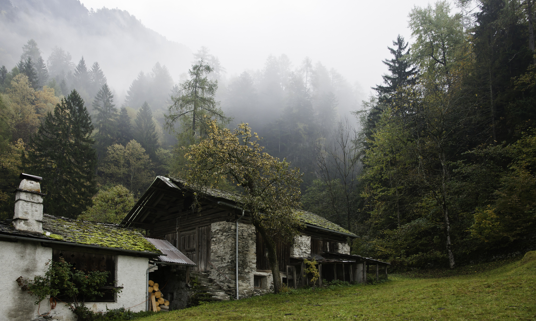 Mystischer Herbst