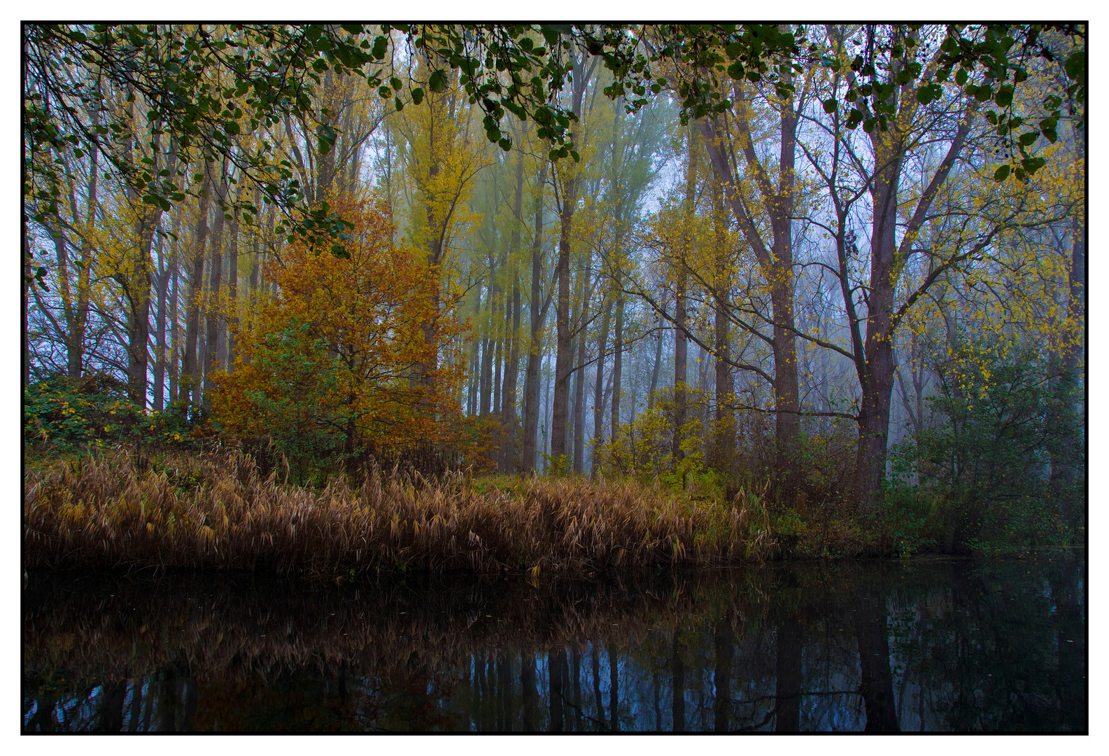 Mystischer Herbstwald