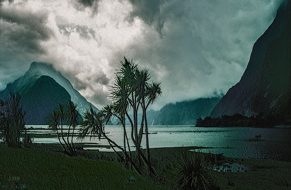 Mystischer Milford Sound