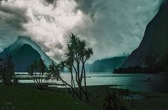 Mystischer Milford Sound