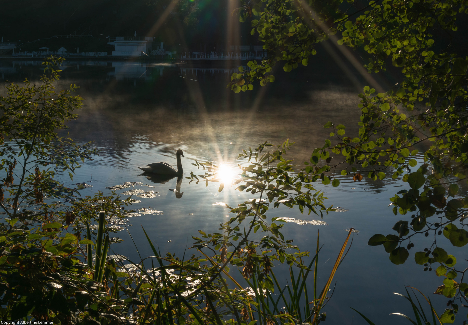 mystischer Morgen