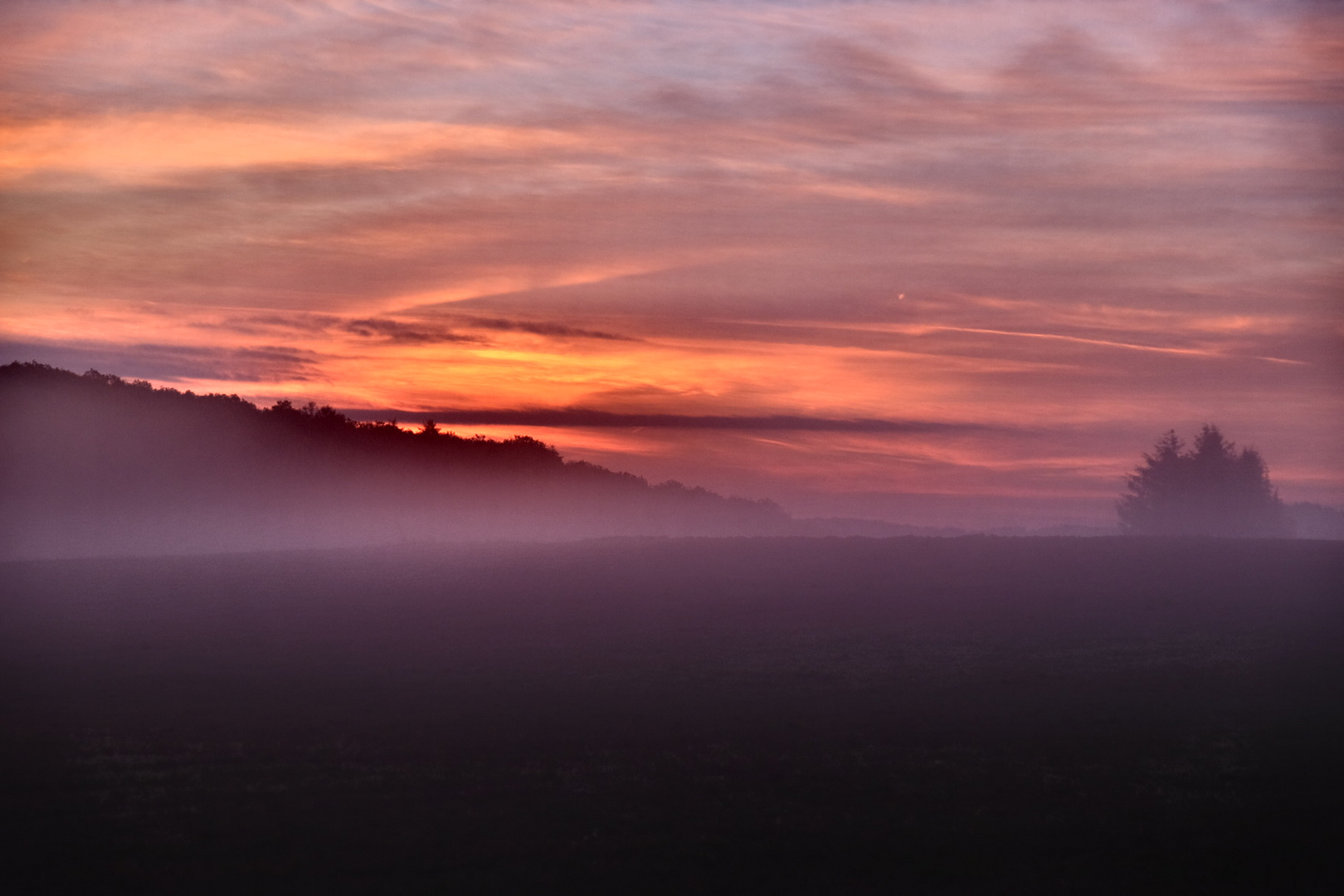 Mystischer Morgennebel 2