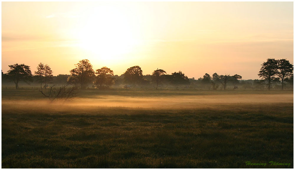 mystischer Morgennebel