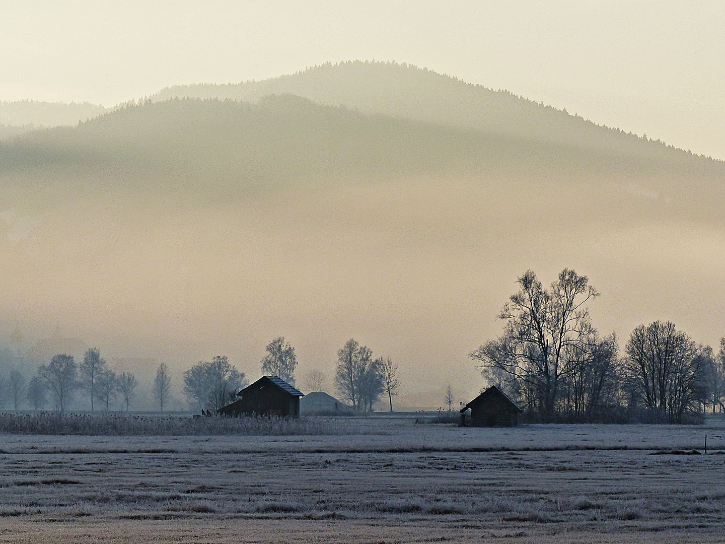 Mystischer Nebel