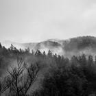 mystischer Nebel im Elbsandsteingebirge