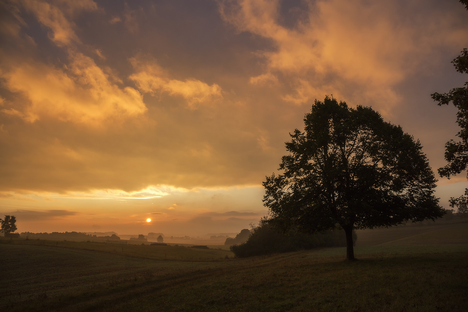 Mystischer Oktobermorgen