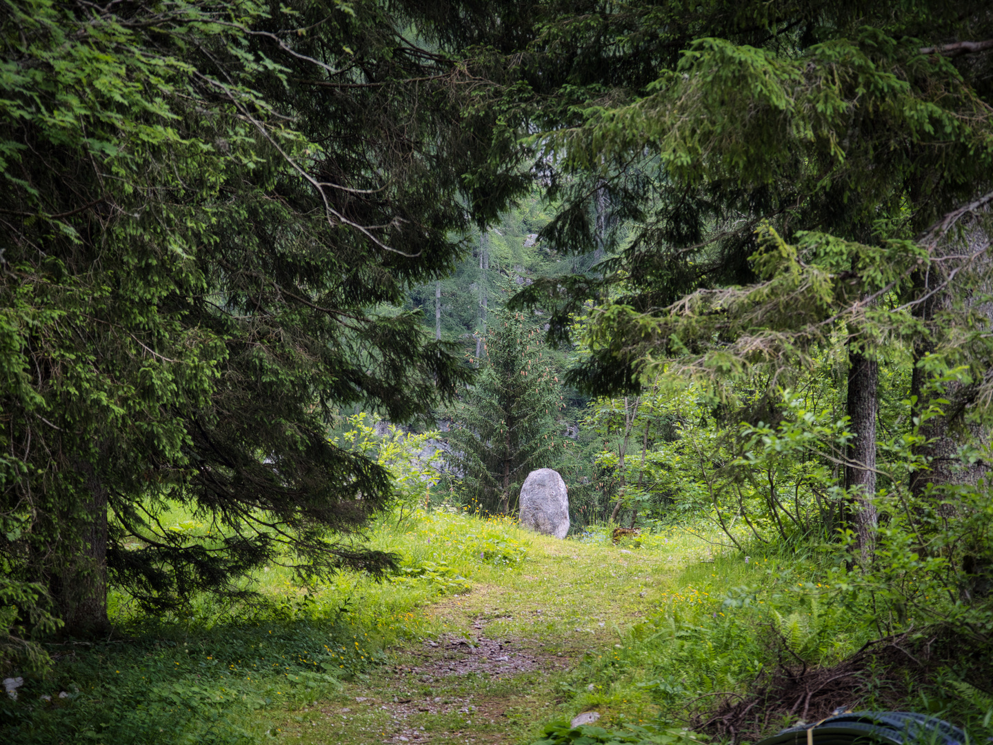 Mystischer Ort am Dachstein