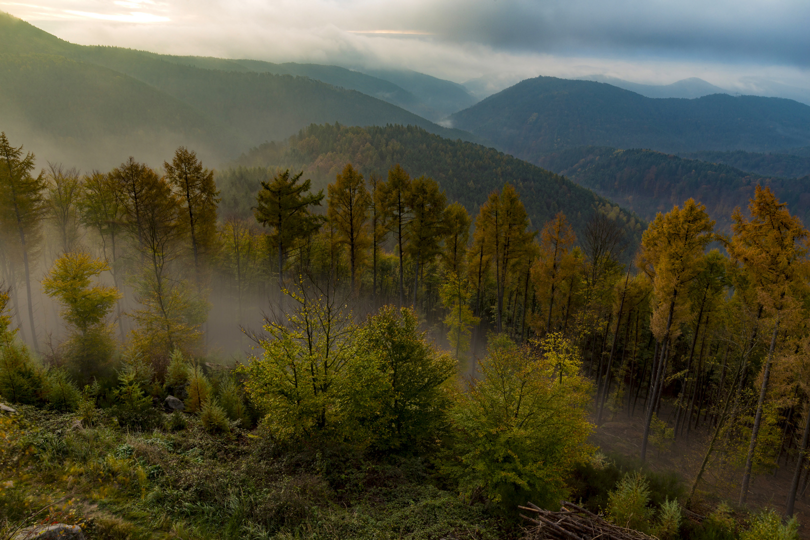 Mystischer Pfälzerwald