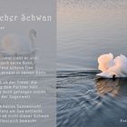 Mystischer Schwan