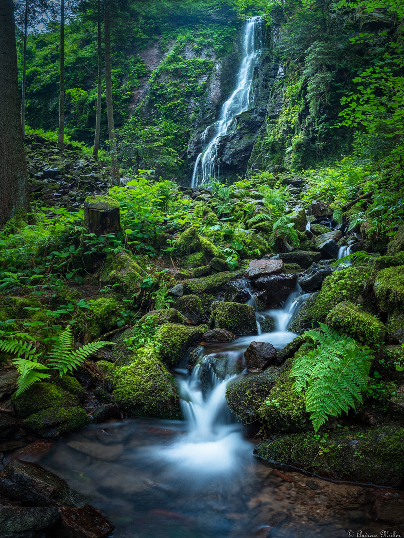 # # # Mystischer Schwarzwald mit seinen Wasserfällen # # # 