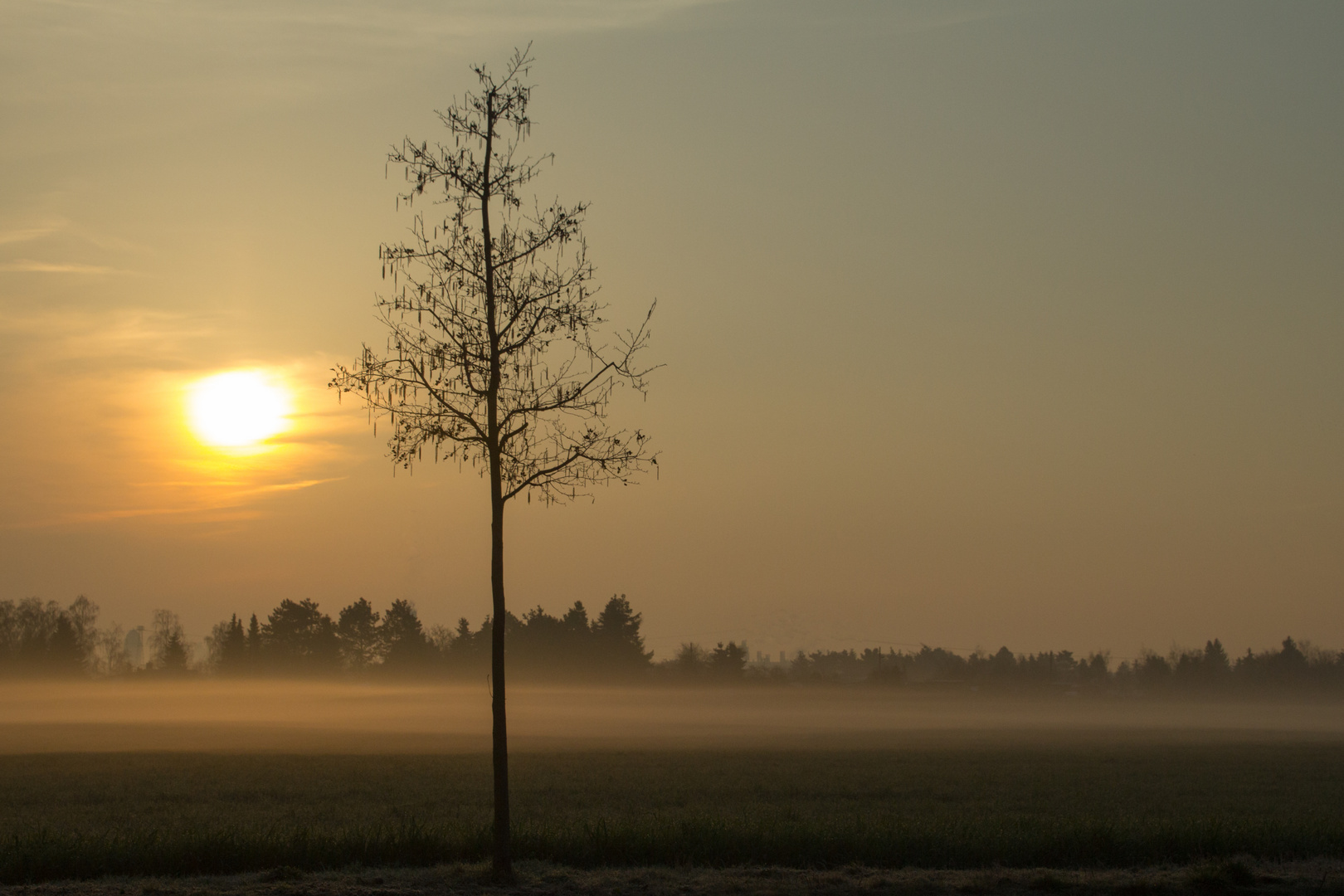 mystischer Sonnenaufgang