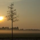 mystischer Sonnenaufgang