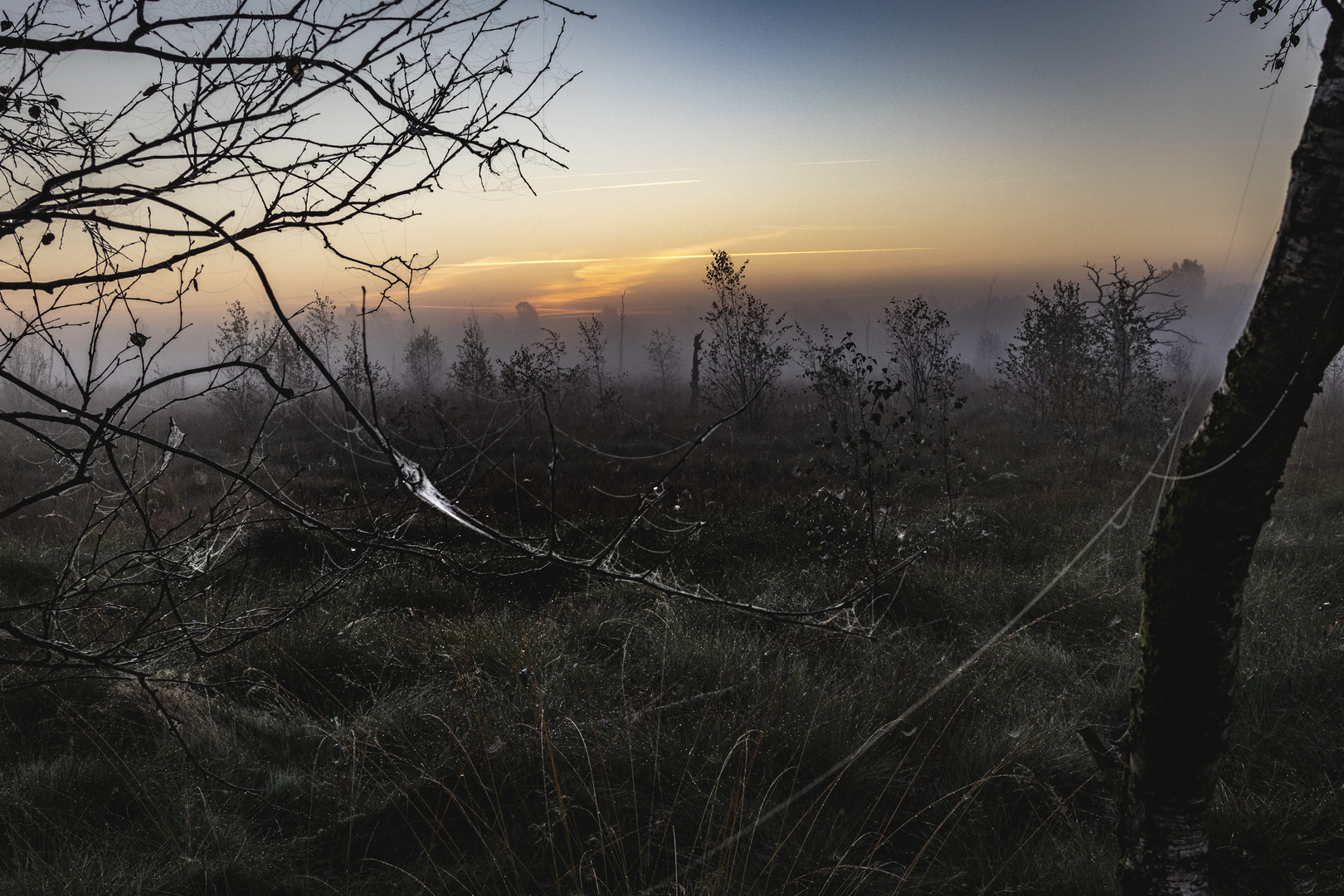 Mystischer Sonnenaufgang im Moor