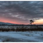 Mystischer Sonnenuntergang im Grossen Torfmoor