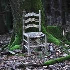 Mystischer Stuhl im Walde