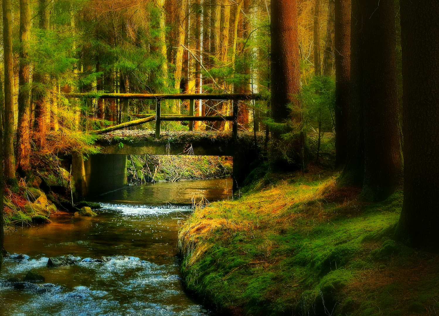 Mystischer Wald Foto Bild Natur Kreativ Wald Mystisch Bilder Auf Fotocommunity