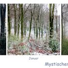 Mystischer Wald