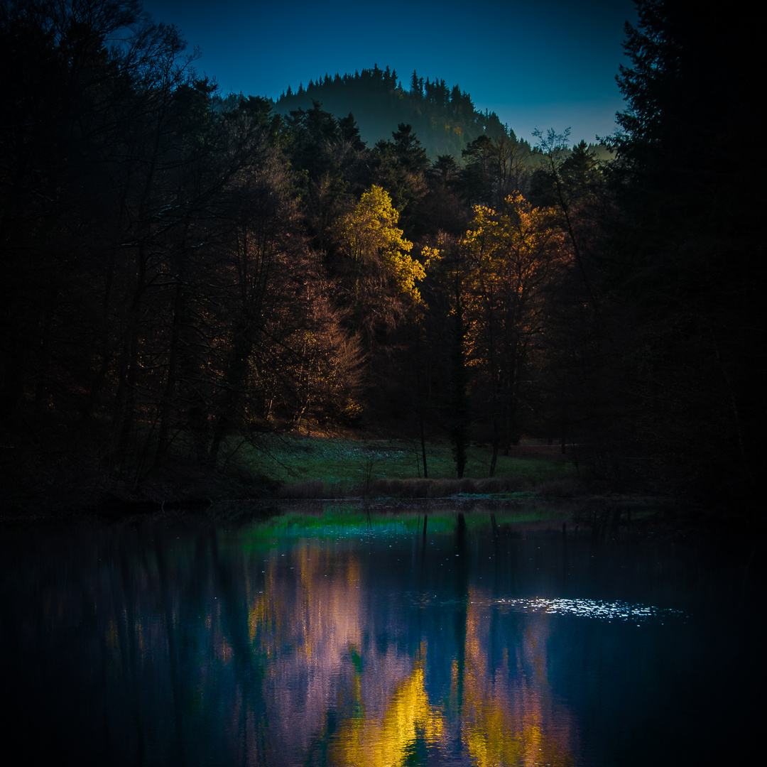 mystischer Waldsee