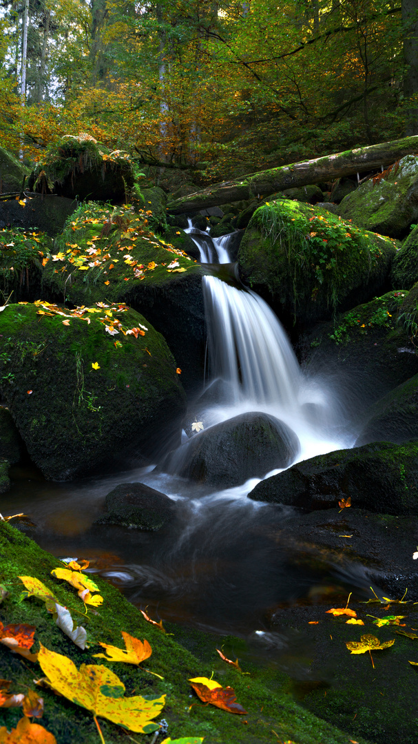 Mystischer Wasserfall im Herbstwald