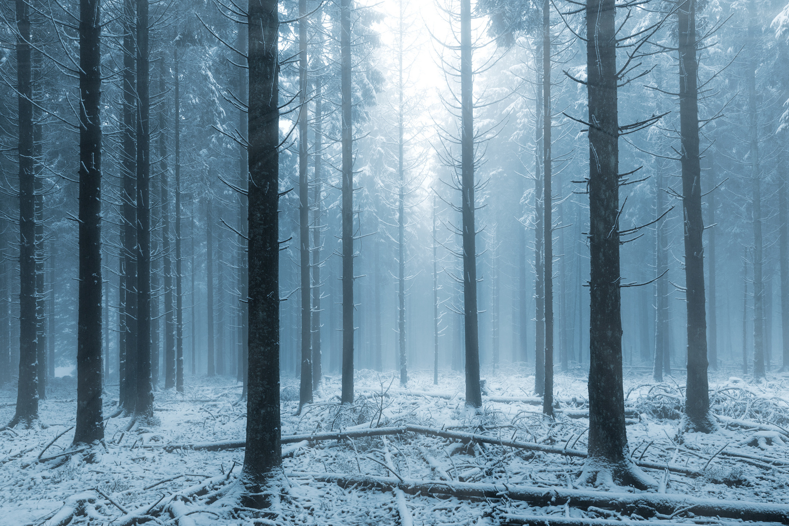 mystischer winterwald