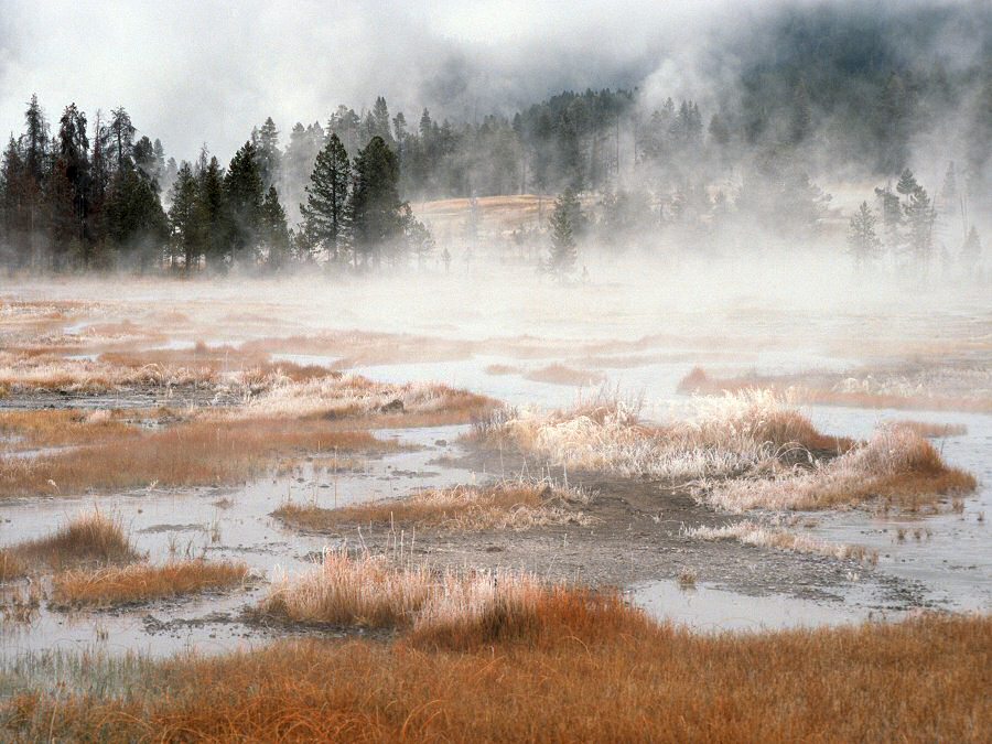 Mystischer Yellowstone im Winter