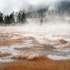 Mystischer Yellowstone im Winter