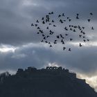 Mystisches aus Kärnten - Burgruine Landskron