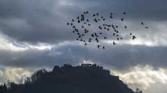 Mystisches aus Kärnten - Burgruine Landskron