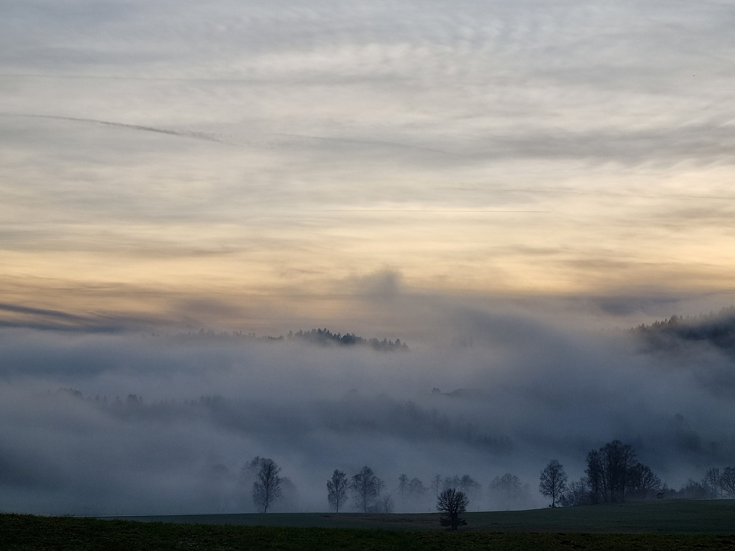 Mystisches Gattergaßling