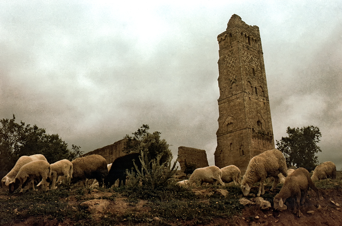 "Mystisches im Hochland Algeriens"